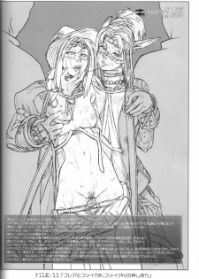 (C67) [NP Virus Jouryuusho (N-P-KATOU)] Mithman Report FILE:00-FILE:15 (Final Fantasy XI) - page 15
