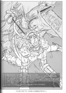 (C67) [NP Virus Jouryuusho (N-P-KATOU)] Mithman Report FILE:00-FILE:15 (Final Fantasy XI) - page 13