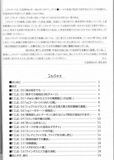 (C67) [NP Virus Jouryuusho (N-P-KATOU)] Mithman Report FILE:00-FILE:15 (Final Fantasy XI) - page 3
