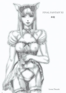 (C70) [Doku Sasori (Takeuchi Reona)] Honnou (Final Fantasy XI) - page 3