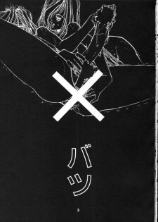 (C49) [Gyokusaidan (Mimasaka Hideaki)] X BATSU (Various) - page 3