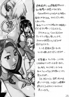 (C63) [Ngo Hay Yappunyan (Shiwasu No Okina)] Mattari Capcom (Ace Attorney, Breath of Fire V) - page 27