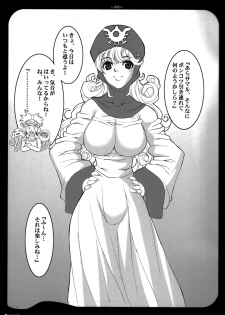 (C72) [Youkai Tamanokoshi (CHIRO)] D&Q V (Dragon Quest II) - page 3