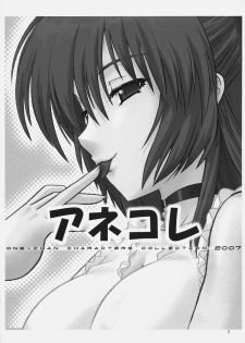 (C72) [CAZA MAYOR (Tsutsumi Akari)] AneColle - One-chan Characters Collection 2007 (Various) - page 2