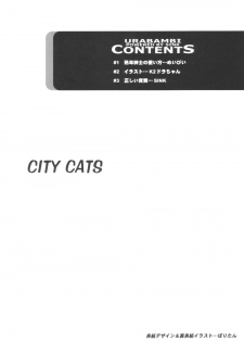 (CR35) [Urakata Honpo (Sink)] Urabambi Vol. 21 - City Cats (Majo no Takkyuubin [Kiki's Delivery Service]) - page 3
