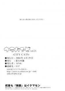 (CR35) [Urakata Honpo (Sink)] Urabambi Vol. 21 - City Cats (Majo no Takkyuubin [Kiki's Delivery Service]) - page 33