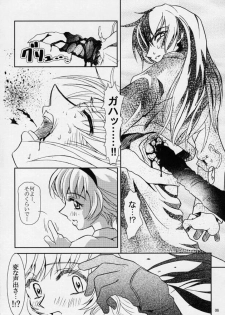 (C61) [Fetish Children (Apploute)] Pretear 2 - Kinu Ginu (Shin Shirayuki hime Densetsu Pretear) - page 5