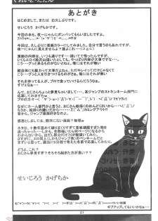 (C68) [Great.Dadan (Seijirou Kagechika)] Yoruichi Nyan no Hon 3 (Bleach) [English] [SaHa] - page 20