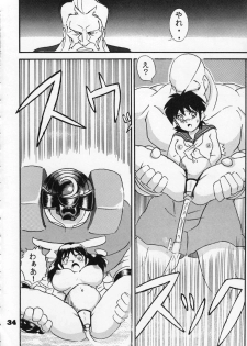 (C54) [Raijinkai (Harukigenia)] Moeyo Sakura (Street Fighter) - page 34