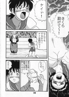 (C54) [Raijinkai (Harukigenia)] Moeyo Sakura (Street Fighter) - page 14