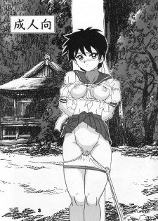(C54) [Raijinkai (Harukigenia)] Moeyo Sakura (Street Fighter) - page 3