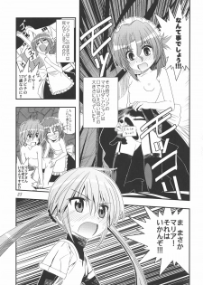 [Byousatsu Tanukidan (Saeki Tatsuya)] Saikai!? Shaa to Seira (Hayate no Gotoku!) - page 22