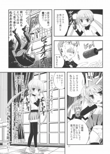 [Byousatsu Tanukidan (Saeki Tatsuya)] Saikai!? Shaa to Seira (Hayate no Gotoku!) - page 10