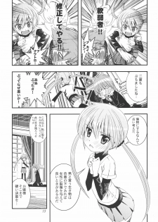 [Byousatsu Tanukidan (Saeki Tatsuya)] Saikai!? Shaa to Seira (Hayate no Gotoku!) - page 12