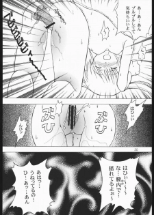 (C68) [Genki Honpo (Saranoki Chikara)] Hayatte Mambo! (Hayate no Gotoku!) - page 29
