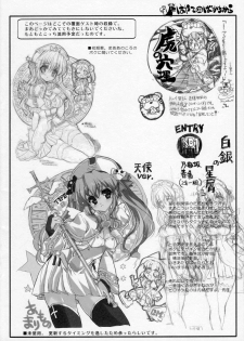 (C70) [Neko-bus Tei (Shaa)] THE Hayate DE Pon! Lite (Hayate no Gotoku!) - page 21