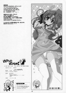 (C70) [Neko-bus Tei (Shaa)] THE Hayate DE Pon! Lite (Hayate no Gotoku!) - page 25