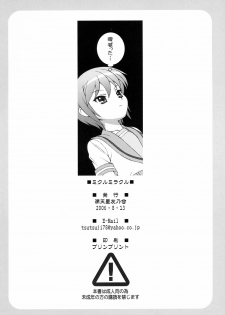 (C70) [Doudan Tsutsuji Tomo no Kai (Doudantsutsuji)] Mikuru Miracle (Suzumiya Haruhi no Yuuutsu) - page 21