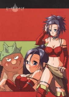 (C68) [Hime Mania (Aminosuke)] Venus no Namida (Dragon Quest VIII) - page 1