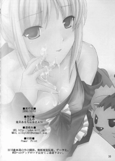 (SC33) [UDON-YA (Kizuki Aruchu, ZAN)] SWEETISH FELLOW (Fate/stay night) - page 29