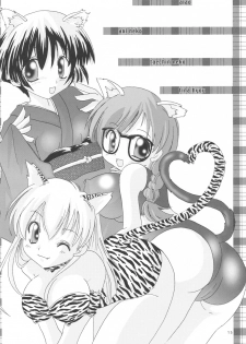 (CR33) [B-CREWS (Karen Kyuu, Shidou Mayuru)] Aika (Ai Yori Aoshi) - page 14