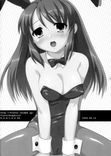 (C70) [FlavorGraphics* (Mizui Kaou)] R.S.H.C.S.S.06 (The Melancholy of Haruhi Suzumiya) - page 17