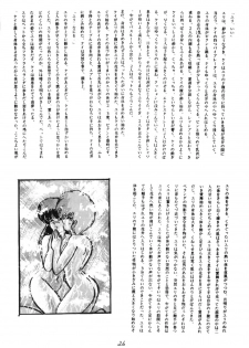 [Ashanti] RABBIT CARNIUAI (Dirty Pair) - page 25