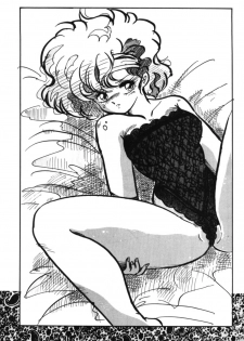 [Ashanti] RABBIT CARNIUAI (Dirty Pair) - page 48