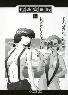 (C64) [UA Daisakusen & Lapis Lazuli (Harada Shoutarou)] Ruridou Gahou XX CODE:20 (Dead or Alive) - page 2