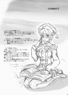 (C73) [Queen Of VANILLA (Tigusa Suzume)] Dolce (Final Fantasy XI) - page 24