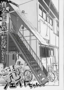 (C73) [STUDIO Huan (Raidon)] New Fate-chan. Shin Mahiru no Rojyou Choukyou (Mahou Shoujo Lyrical Nanoha) - page 2