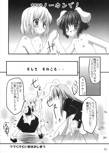 (C71) [PoM (Monchy)] Do Sagi Cuniculs 3.0 ~anata ga daisukirai!~ (Touhou Project) - page 21