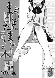 (C73) [MARUTA-DOJO (MARUTA)] Daiichiwa no Namaashi Tama-chan ni Moeru Hon (Bamboo Blade) - page 2