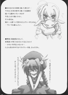 (C72) [SSB (SSA)] Bardiche Adult Complete (Mahou Shoujo Lyrical Nanoha) - page 23