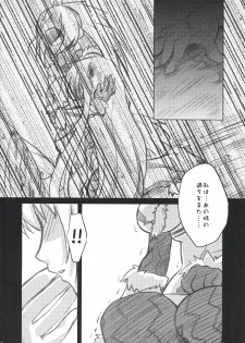 (C73) [Princess Heart (Amami Yukino)] Karyuudo Hakusho (Monster Hunter) - page 11