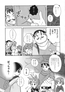 (C66) [DOREI MANIA (Bonoramo, Mai, Sakura Shouji)] THE AMERU (Dragon Quest III) - page 20