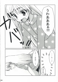 (C73) [Newton no Ringo / N's Apple (Inuzumi Masaki)] Fuyu Hina. (Hayate no Gotoku!) - page 13