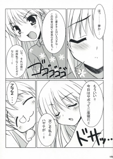 (C73) [Newton no Ringo / N's Apple (Inuzumi Masaki)] Fuyu Hina. (Hayate no Gotoku!) - page 14