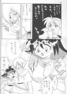 [Ginmomodou (Mita Satomi)] Slayers Adult 4 (Slayers) - page 9