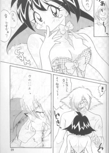 [Ginmomodou (Mita Satomi)] Slayers Adult 4 (Slayers) - page 28