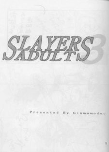 [Ginmomodou (Mita Satomi)] SLAYERS ADULT 3 (Slayers) - page 2