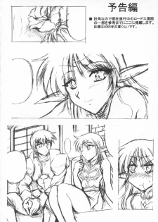 (C67) [Leaz Koubou (Oujano Kaze)] Light and Darlnell (Record of Lodoss War) - page 23