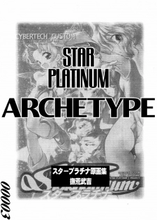 [Z-VECTOR (Nadeara Bukichi)] STAR PLATINUM ARCETYPE - page 3