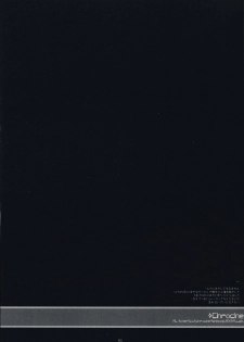 (C73) [D.N.A.Lab. (Miyasu Risa)] x Chroche (Ar tonelico II: Melody of Metafalica) - page 19