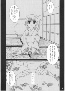 [IIWAKE-GAISYA (Shigemiya Kyouhei)] Kasumi (Dead or Alive) - page 4