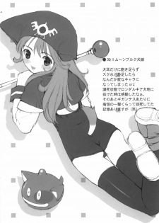 (C69) [Hellabunna (Iruma Kamiri, Mibu Natsuki)] RE:set One (Dragon Quest IV) - page 28