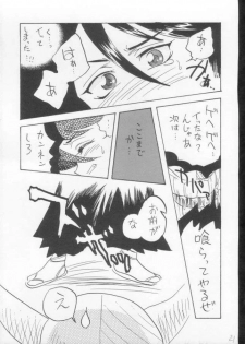 (C61) [Ginmomodou (Mita Satomi)] Yogosareta Gigai (Bleach) - page 19