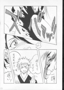 (C61) [Ginmomodou (Mita Satomi)] Yogosareta Gigai (Bleach) - page 20