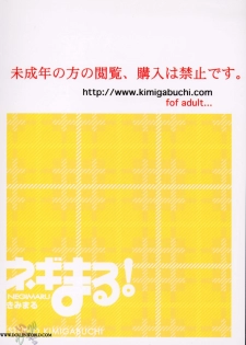 (CR37) [Studio Kimigabuchi (Kimimaru)] Negimaru! 3 (Mahou Sensei Negima!) [English] [SaHa] - page 37