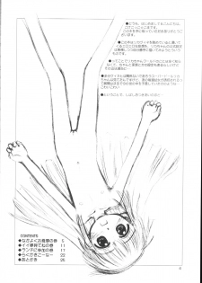 (C65) [Jido-Hikki (Kokekokko Coma)] Licca Vignette Enikki (Licca Vignette) - page 3